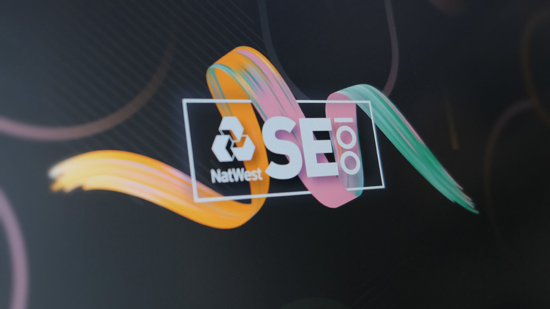 SE100 Photo Screen