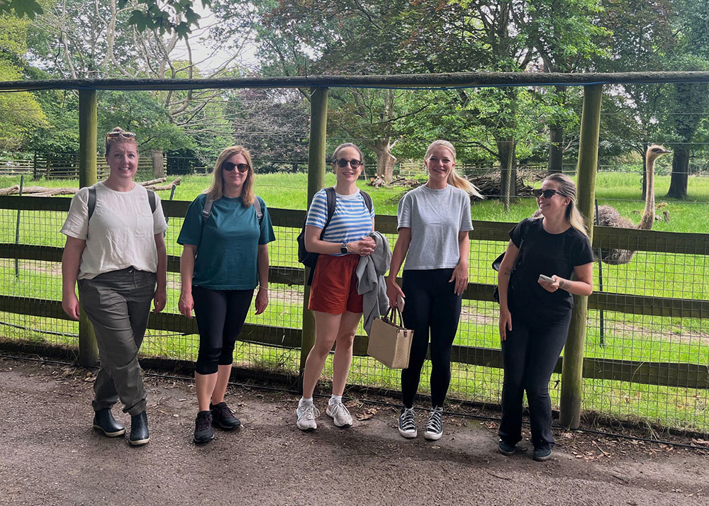 Howletts Team Web